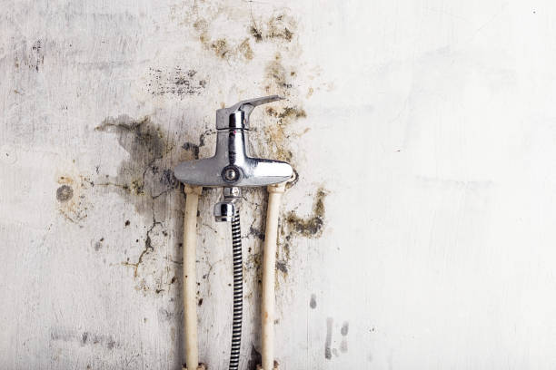 Best Affordable Mold Removal  in Killian, LA