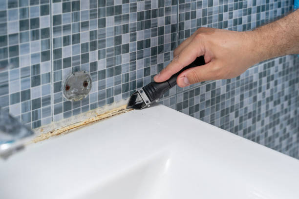Best Best Mold Removal Companies  in Killian, LA