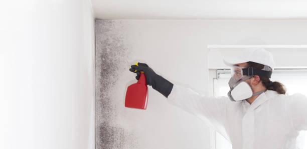 Best Mold Removal and Inspection  in Killian, LA