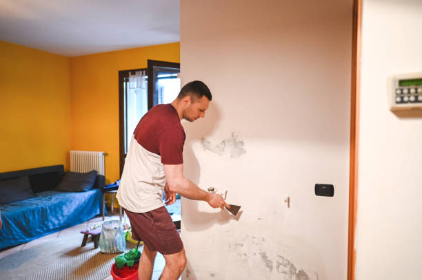 Best Water Damage Restoration  in Killian, LA