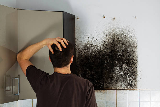 Best Residential Mold Removal  in Killian, LA